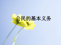 2.4.1《公民基本义务》PPT课件5-八年级下册道德与法治部编版
