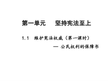 1.1.1《公民权利的保障书》PPT课件3-八年级下册道德与法治部编版