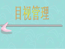 生产目视化管理ppt-PowerPoint演示文稿