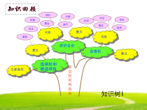2.3.2《依法行使权利》PPT课件3-八年级下册道德与法治部编版