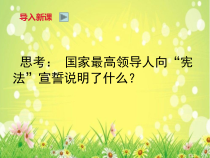 1.1.1《公民权利的保障书》PPT课件13-八年级下册道德与法治部编版