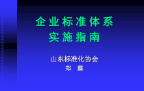 企业标准体系培训(技术标准)