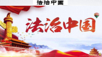 2.3.2《依法行使权利》PPT课件10-八年级下册道德与法治部编版