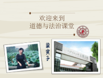 1.1.2《治国安邦的总章程》PPT课件10-八年级下册道德与法治部编版