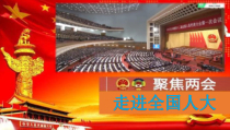 3.6.1《国家权力机关》PPT课件11-八年级下册道德与法治部编版