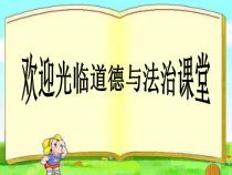 3.6.3《国家司法机关》PPT课件7-八年级下册道德与法治部编版