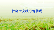 4.7.1《自由平等的真谛》PPT课件6-八年级下册道德与法治部编版
