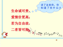 4.7.2《自由平等的追求》PPT课件8-八年级下册道德与法治部编版