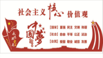 4.7.2《自由平等的追求》PPT课件12-八年级下册道德与法治部编版