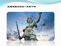 4.8.1《公平正义的价值》PPT课件3-八年级下册道德与法治部编版