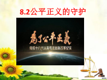 4.8.2《公平正义的守护》PPT课件5-八年级下册道德与法治部编版