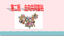 1.1.2《走向共同富裕》PPT课件-九年级上册道德与法治【部编版】