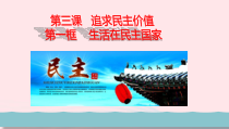 2.3.1《生活在民主国家》PPT课件-九年级上册道德与法治【部编版】
