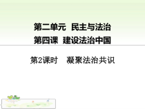 4.2《凝聚法治共识》PPT课件3-九年级上册道德与法治部编版