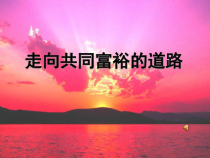 1.2《走向共同富裕》PPT课件5-九年级上册道德与法治部编版