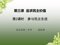 3.2《参与民主生活》PPT课件10-九年级上册道德与法治部编版