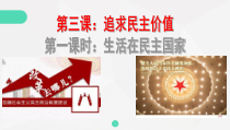 3.1《生活在民主国家里》PPT课件10-九年级上册道德与法治部编版