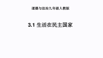 3.1《生活在民主国家里》PPT课件3-九年级上册道德与法治部编版