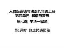 7.1《促进民族团结》PPT课件3-九年级上册道德与法治部编版