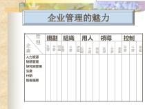 企业管理魅力简介