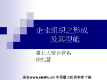 企业管理-企业组织之形成(ppt 61)(1)
