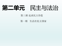 3.1《生活在民主国家里》PPT课件6-九年级上册道德与法治部编版