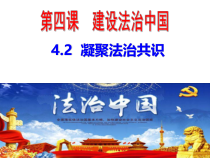 4.2《凝聚法治共识》PPT课件7-九年级上册道德与法治部编版