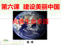 6.2《共筑生命家园》PPT课件8-九年级上册道德与法治部编版