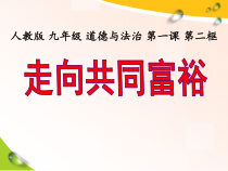 1.2《走向共同富裕》PPT课件4-九年级上册道德与法治部编版