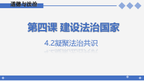 4.2《凝聚法治共识》PPT课件11-九年级上册道德与法治部编版