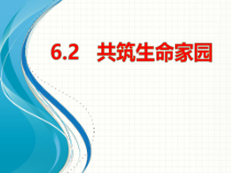 6.2《共筑生命家园》PPT课件12-九年级上册道德与法治部编版