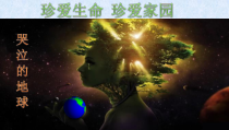 6.2《共筑生命家园》PPT课件3-九年级上册道德与法治部编版