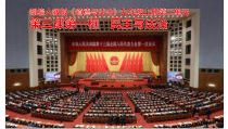 3.1《生活在民主国家里》PPT课件9-九年级上册道德与法治部编版