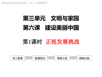 6.1《正视发展挑战》PPT课件9-九年级上册道德与法治部编版