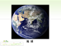 6.2《共筑生命家园》PPT课件7-九年级上册道德与法治部编版