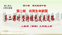 6.2《共筑生命家园》PPT课件11（共19页）-九年级上册道德与法治部编版