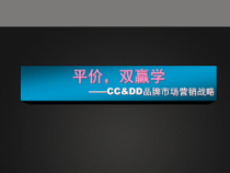 平价_双羸学CC_DD品牌总代理会议培训