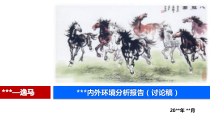 内外环境分析报告