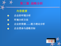 企业的环境分析
