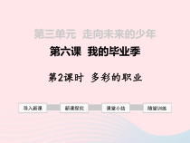  第三单元 第六课《我的毕业季 第2框 多彩的职业》课件-九年级下册道德与法治部编版
