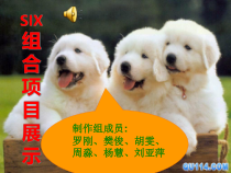 企业及其环境作业