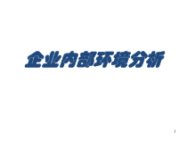 企业内部环境分析教材
