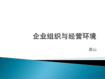 企业组织与经营环境01上课用