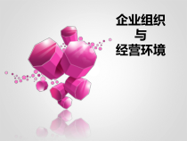 企业组织与经营环境ppt