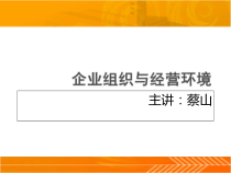 企业组织与经营环境_第3章第4章