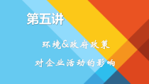 企业组织与经营环境第五讲