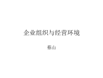 企业组织与经营环境教材