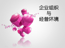 企业组织与经营环境概述