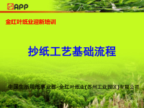抄纸工艺基础流程概述