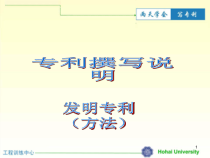发明专利撰写说明(工艺流程)